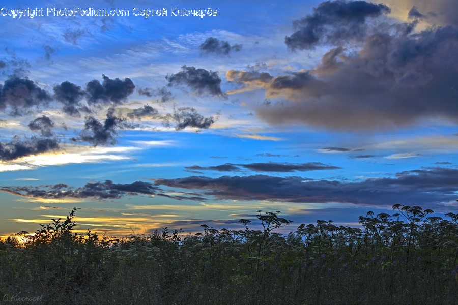 Nature, Outdoors, Sky, Cloud, Weather
