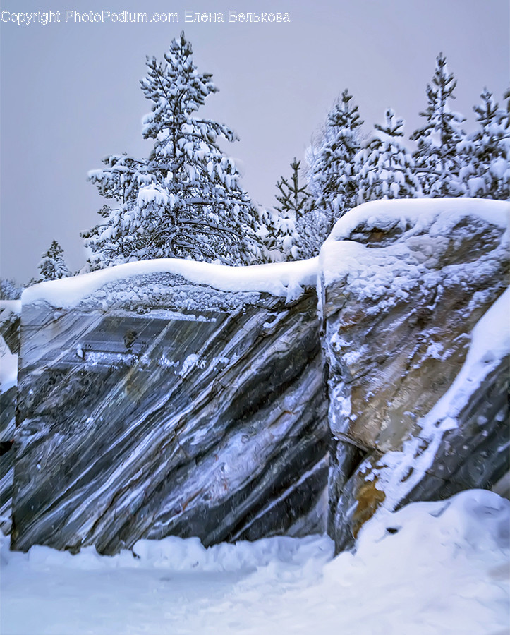 Nature, Outdoors, Ice, Snow, Bird