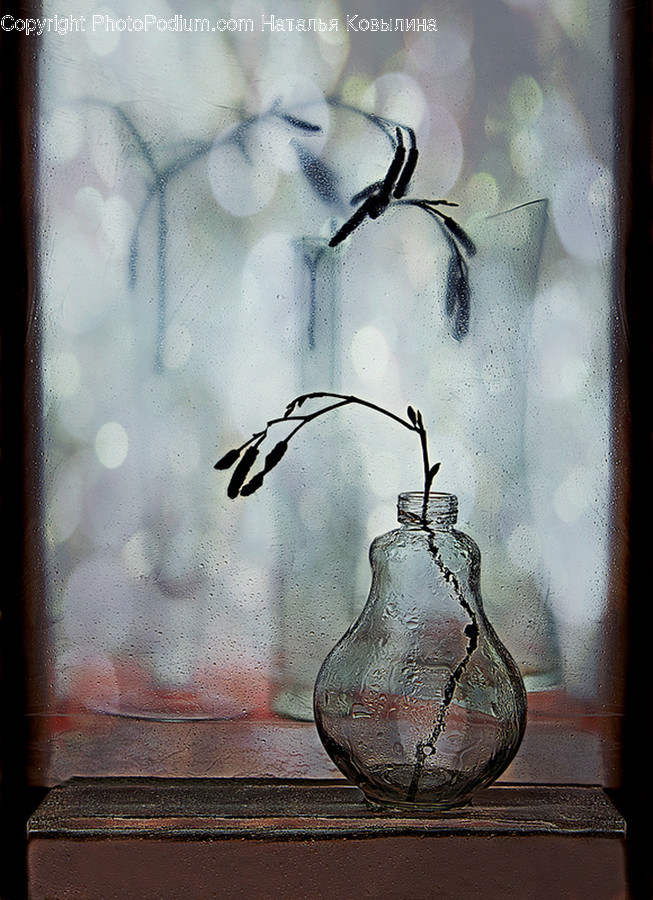 Light, Lightbulb, Art, Painting, Animal