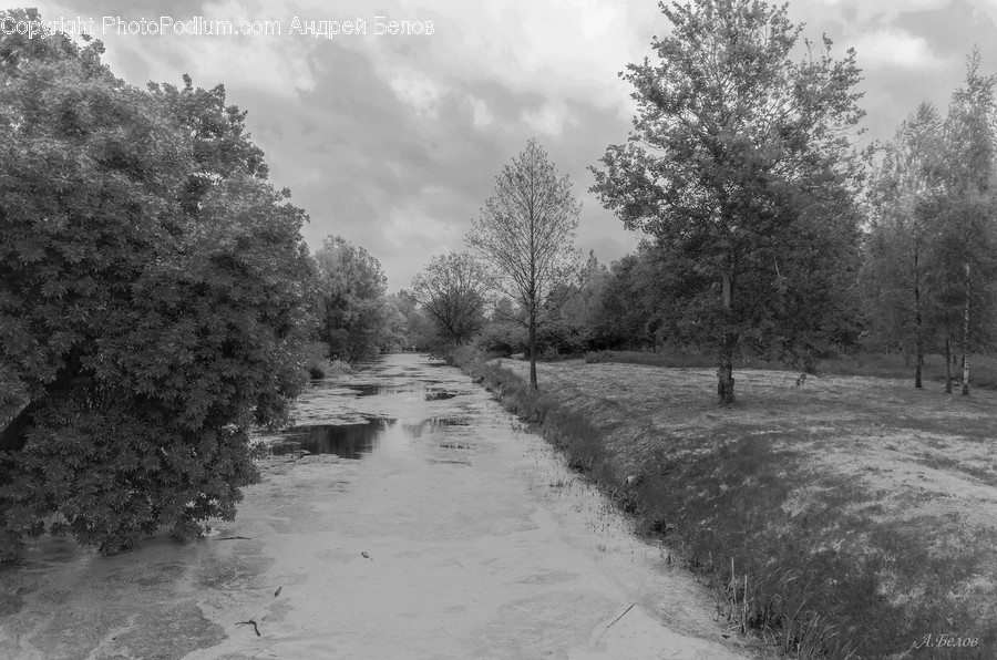 Ditch, Nature, Ground, Outdoors, Land