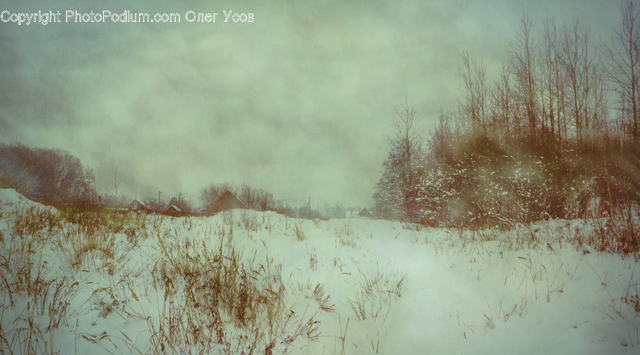 Nature, Outdoors, Snow, Blizzard, Winter