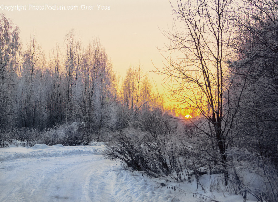 Nature, Outdoors, Ice, Snow, Frost