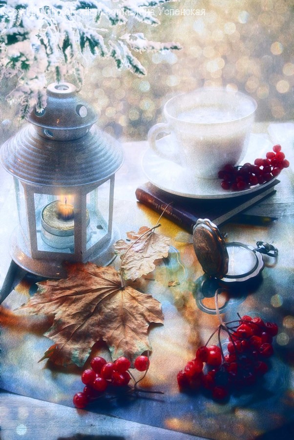 Plant, Leaf, Pottery, Saucer, Hydrant