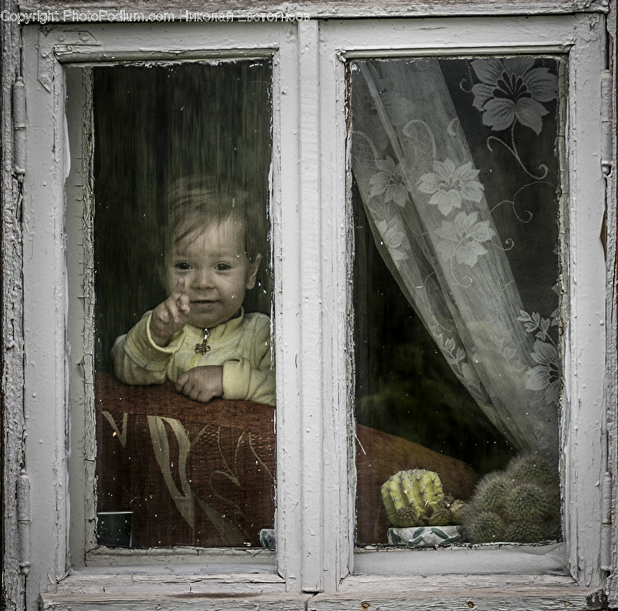 Home Decor, Window, Human, Person, Window Shade
