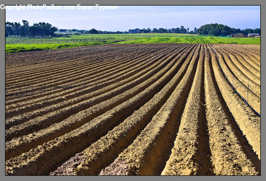 Soil, Field