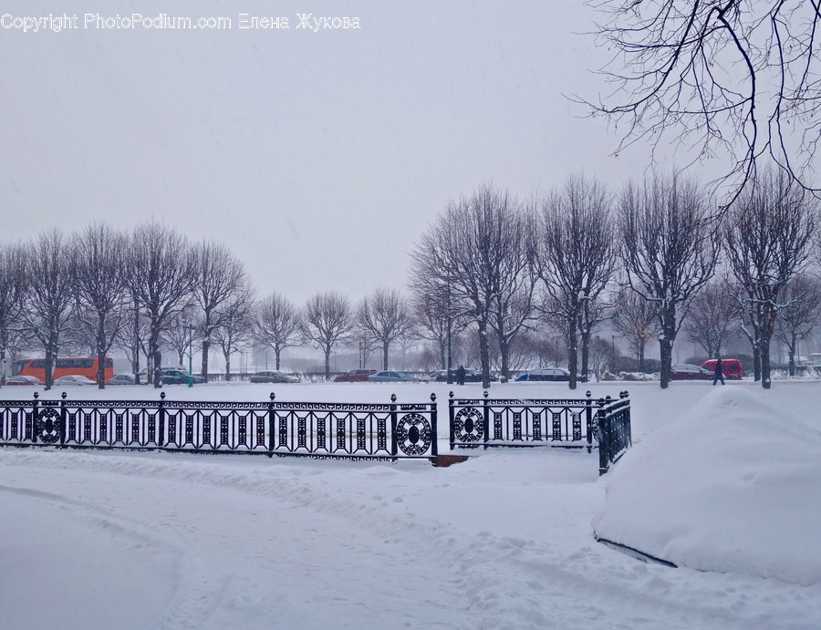 Nature, Outdoors, Storm, Winter, Snow