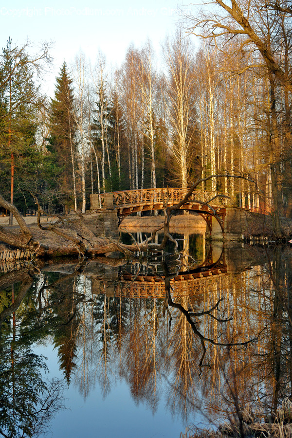 Nature, Water, Outdoors, Land, Marsh