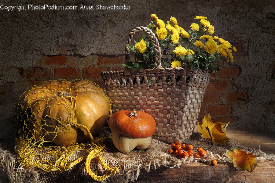 Plant, Produce, Food, Vegetable, Pumpkin