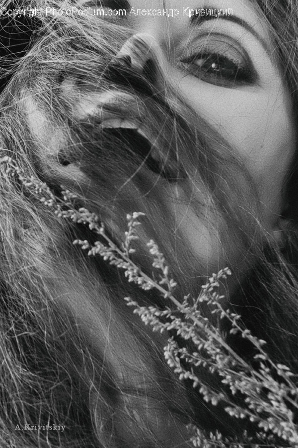 Lace, Person, Human, Face, Photo