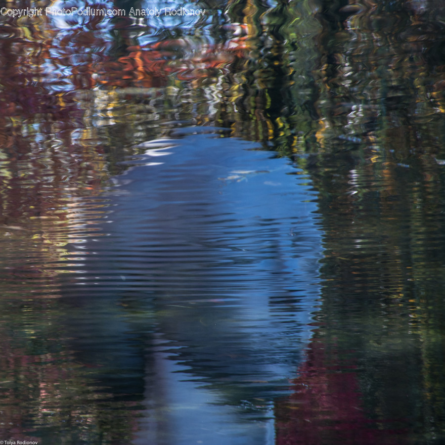 Water, Outdoors, Ripple, Plant, Nature