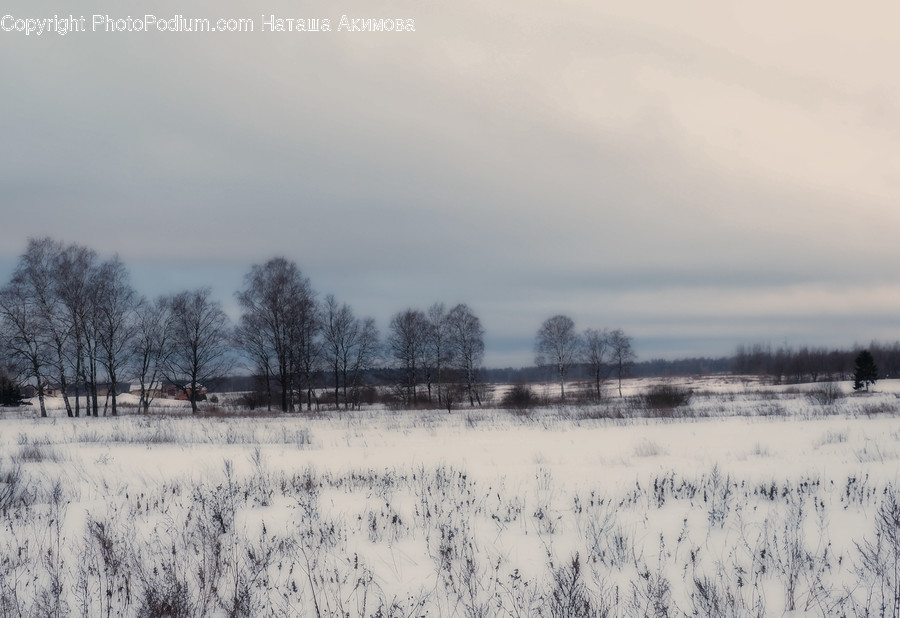 Nature, Outdoors, Weather, Snow, Winter