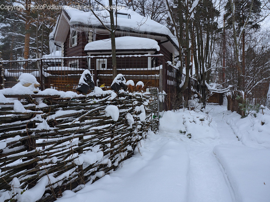 Winter, Storm, Nature, Snow, Outdoors