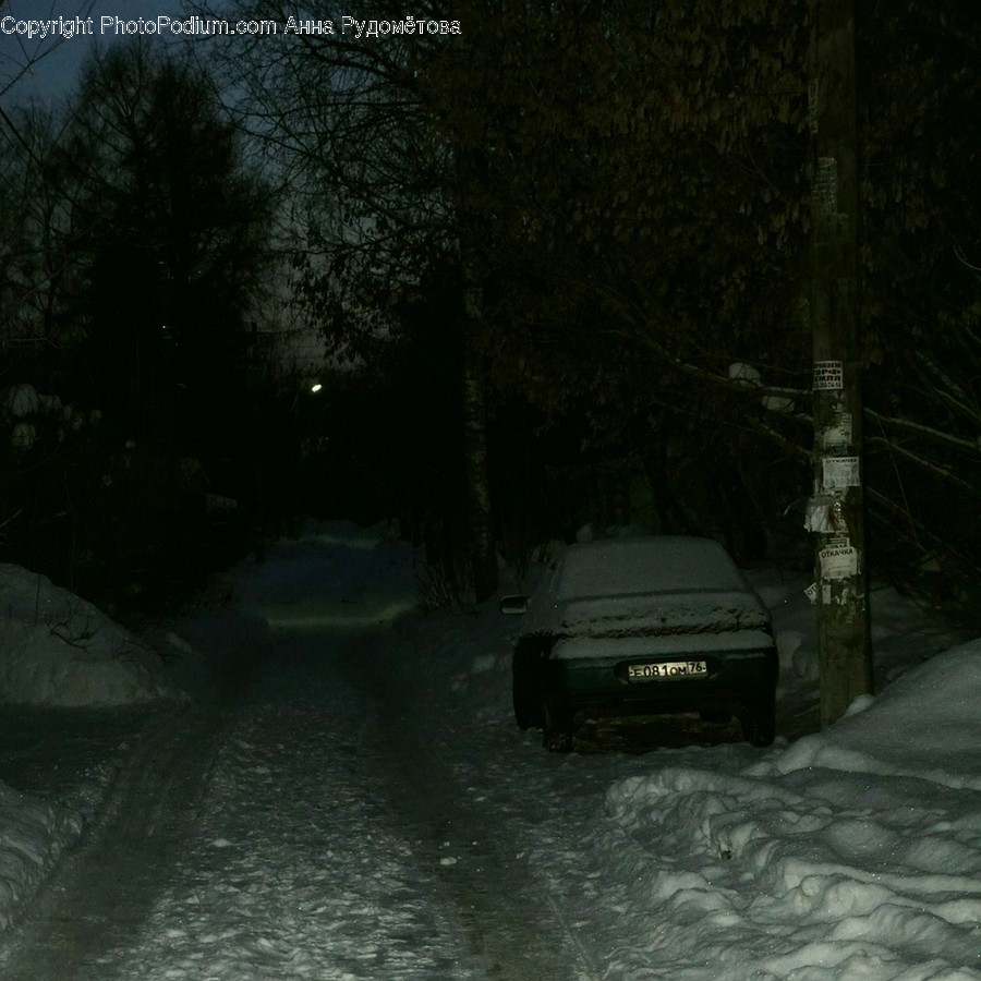 Nature, Vehicle, Transportation, Automobile, Car