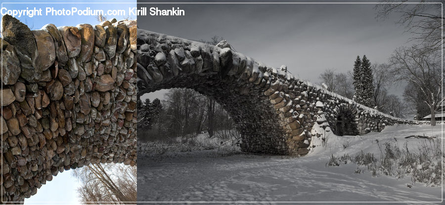 Arch, Ice, Outdoors, Snow, Plant, Tree, Oak