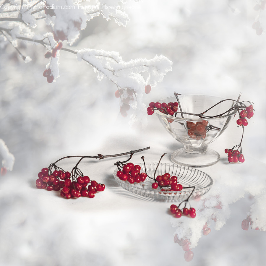 Nature, Outdoors, Ice, Snow, Pottery