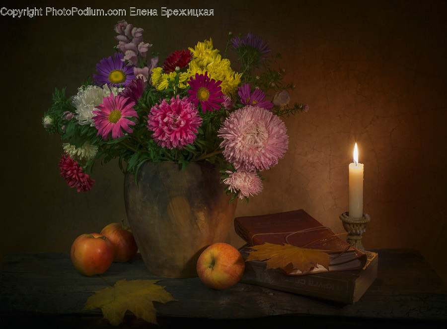 Candle, Plant, Blossom, Flower, Flower Bouquet