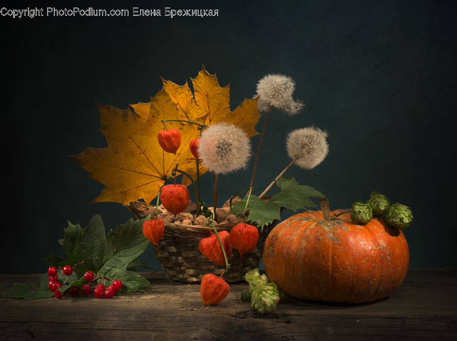 Plant, Leaf, Pumpkin, Food, Vegetable