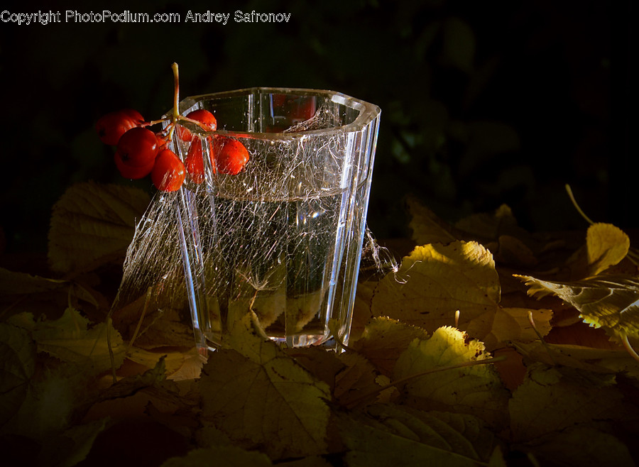 Plant, Leaf, Alcohol, Drink, Beverage
