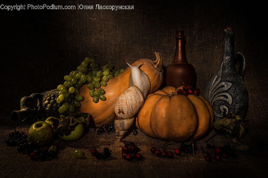 Plant, Food, Vegetable, Produce, Squash