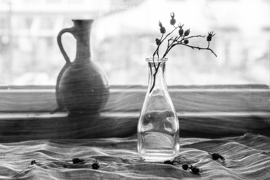 Jar, Vase, Pottery, Potted Plant, Plant
