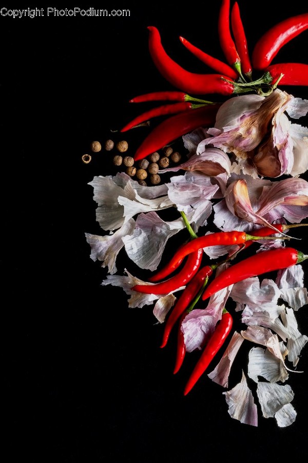 Plant, Flower, Blossom, Flower Arrangement, Flower Bouquet
