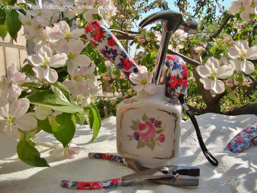 Plant, Blossom, Flower, Pottery, Wedding Cake