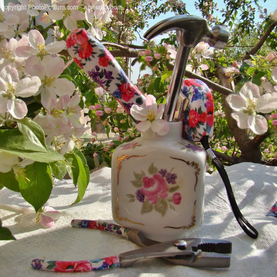 Plant, Flower, Blossom, Jar, Pottery