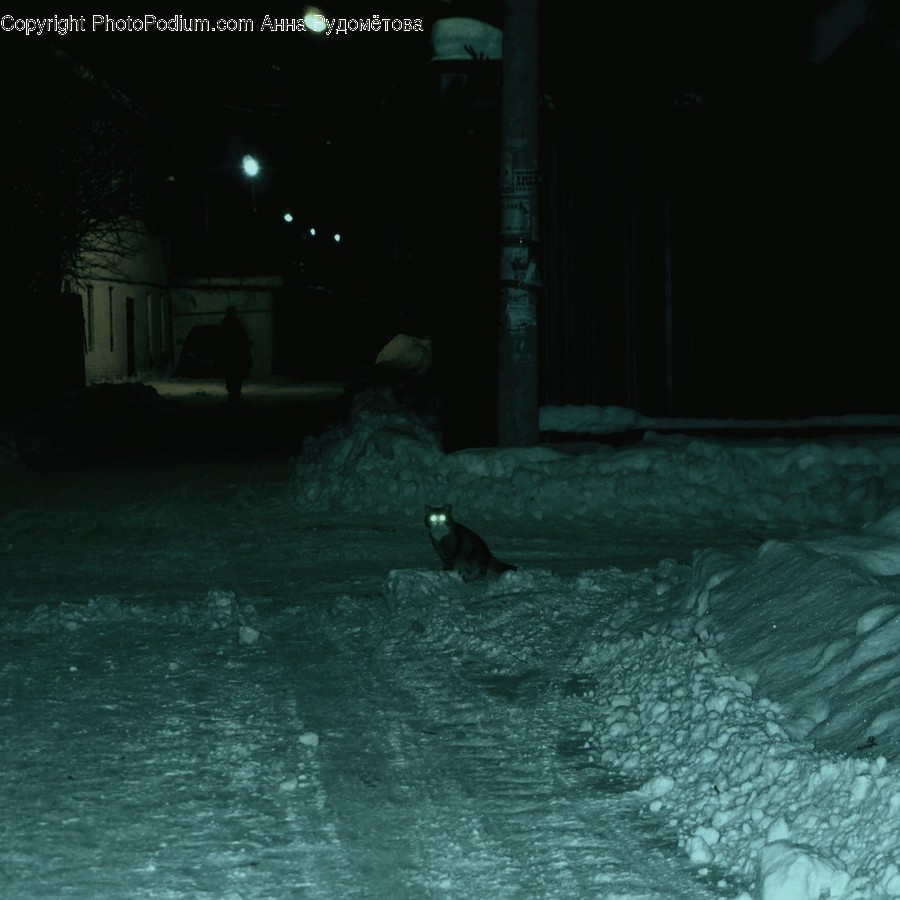 Nature, Outdoors, Snow, Weather, Winter