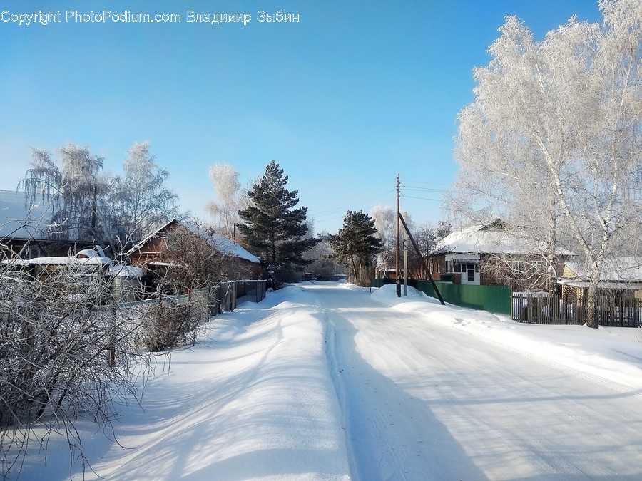 Nature, Outdoors, Ice, Plant, Tree