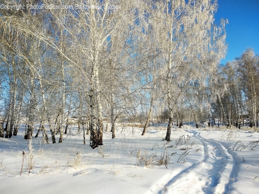 Nature, Outdoors, Snow, Ice, Winter