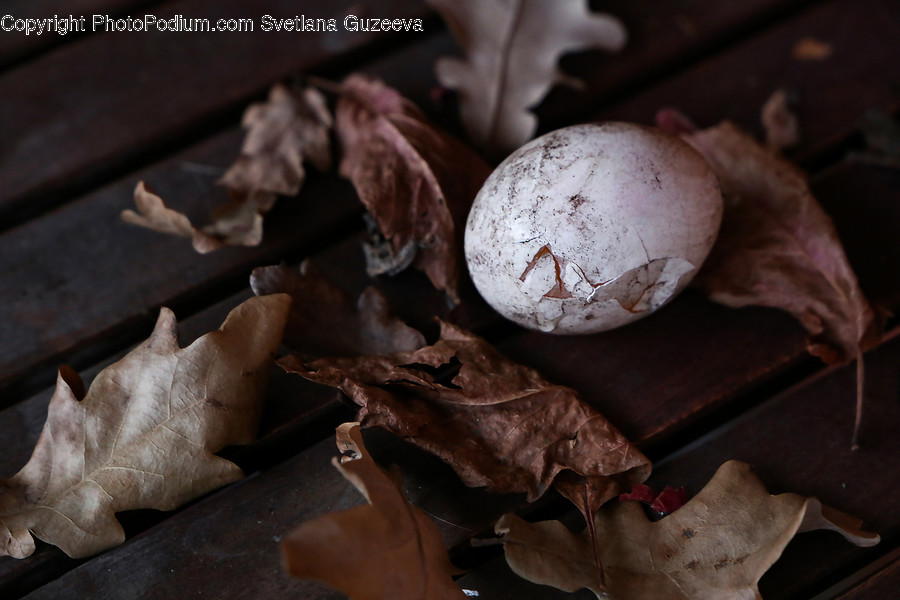 Egg, Food, Plant, Leaf, Easter Egg