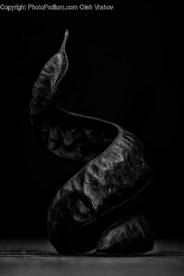 Skin, Animal, Reptile, Snake, Plant