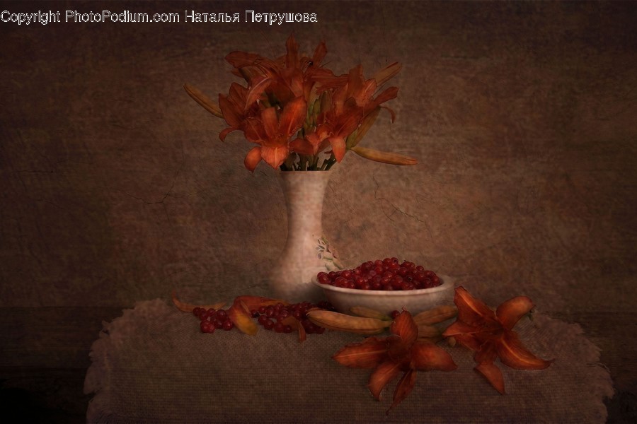 Plant, Blossom, Flower, Art, Food