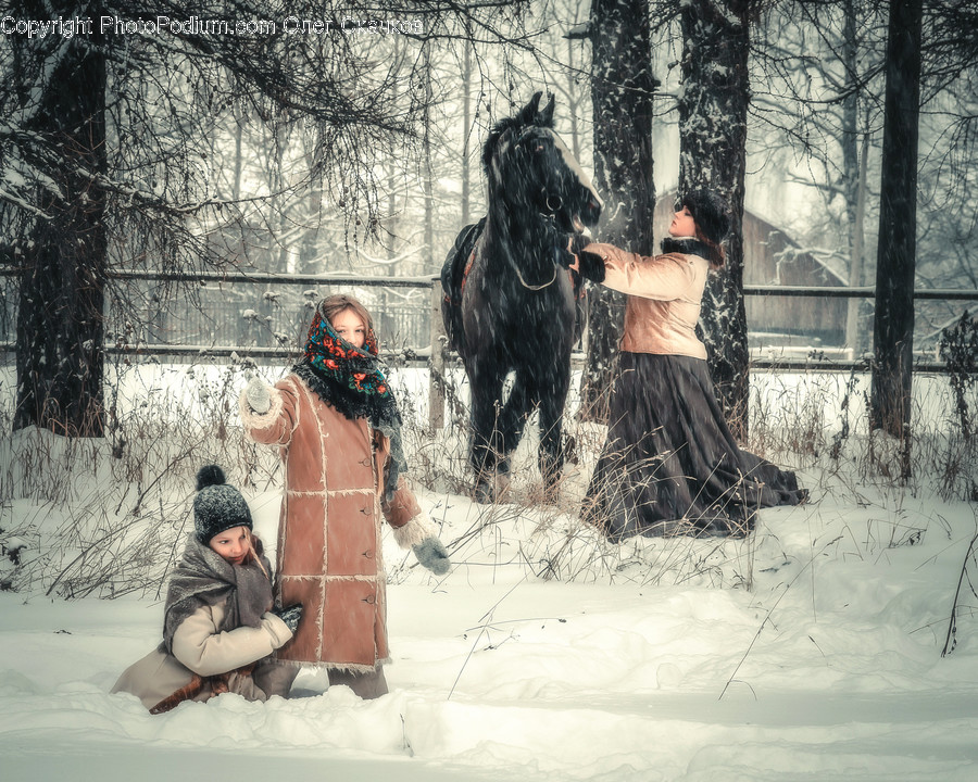 Nature, Outdoors, Human, Person, Snow
