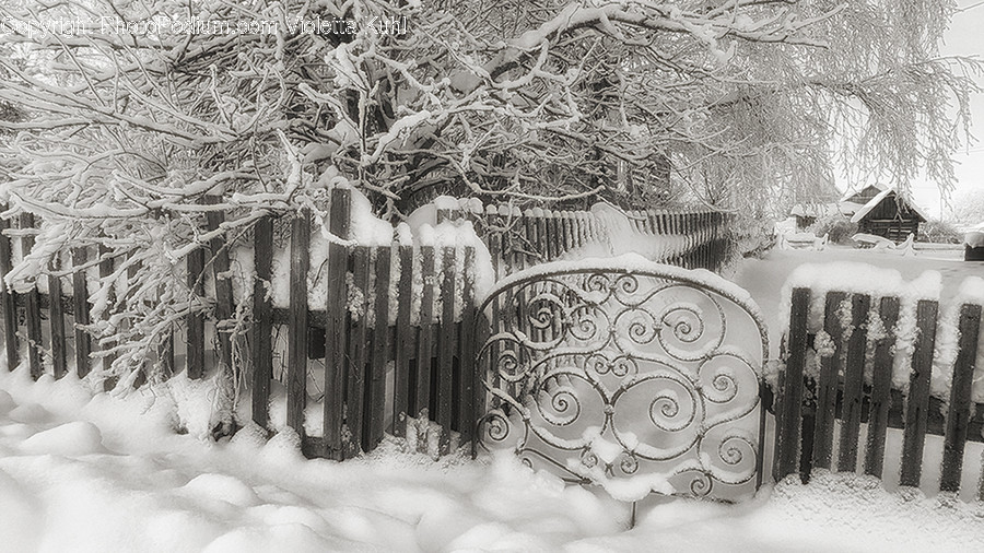 Outdoors, Nature, Snow, Ice, Winter
