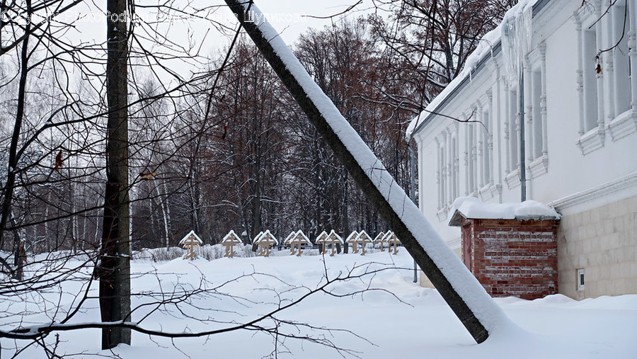 Nature, Outdoors, Building, Housing, Bird