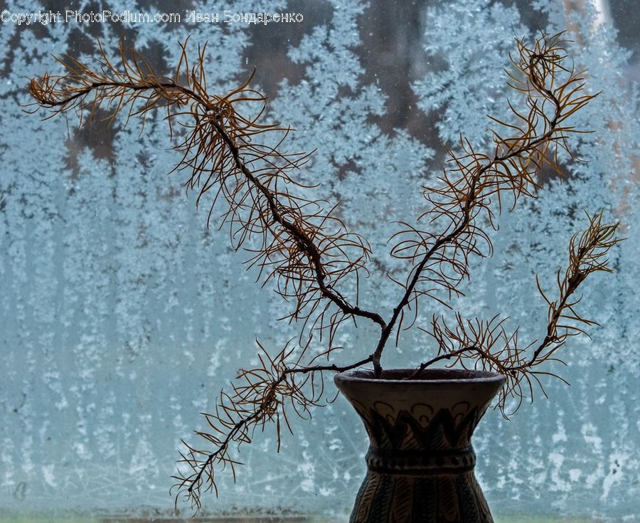 Nature, Ice, Outdoors, Snow, Frost