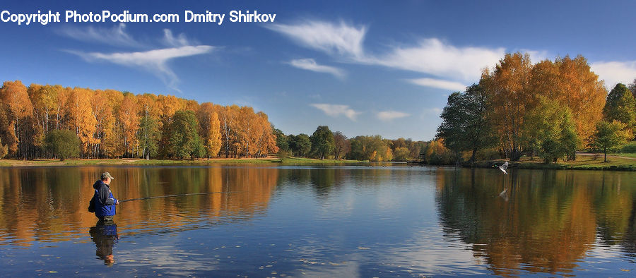 Lake, Outdoors, Water, Pond, Plant, Tree, River