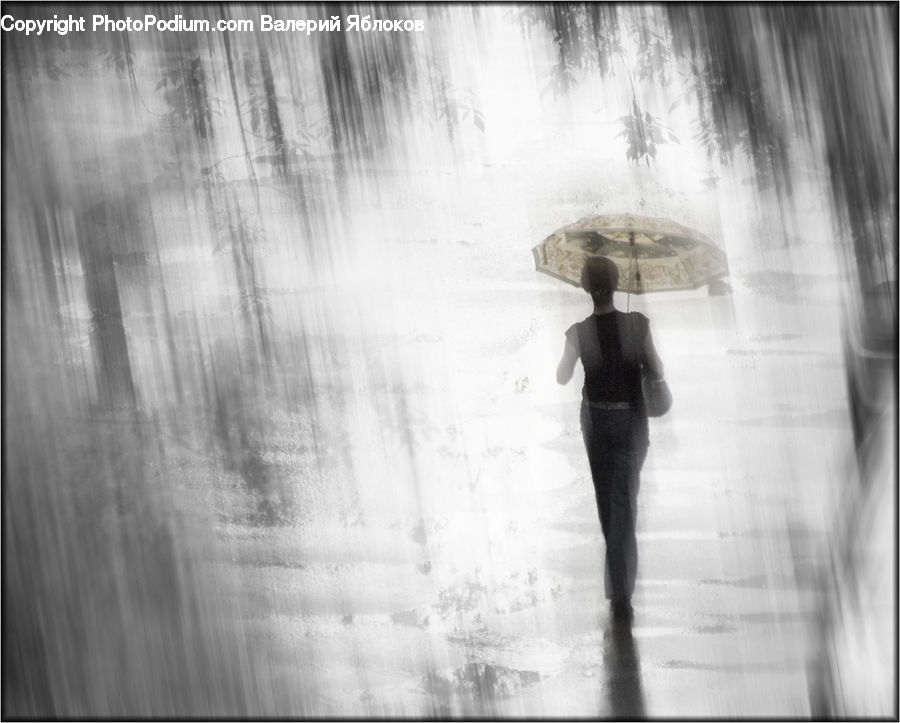 People, Person, Human, Back, Pedestrian, Silhouette, Water