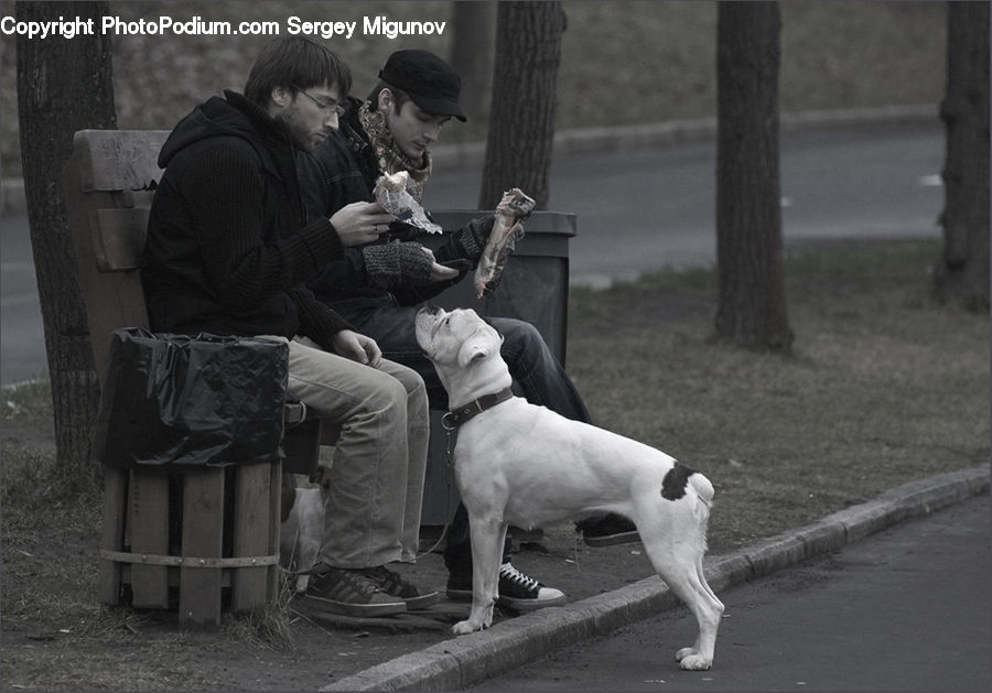 People, Person, Human, Bench, Baby, Child, Kid
