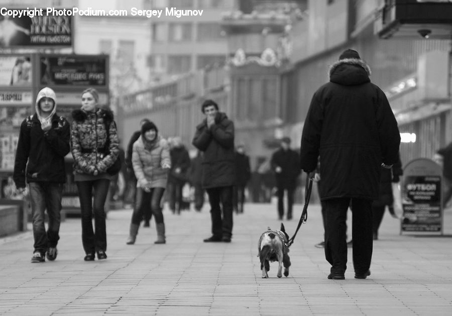 Human, People, Person, Coat, Leisure Activities, Walking, Man