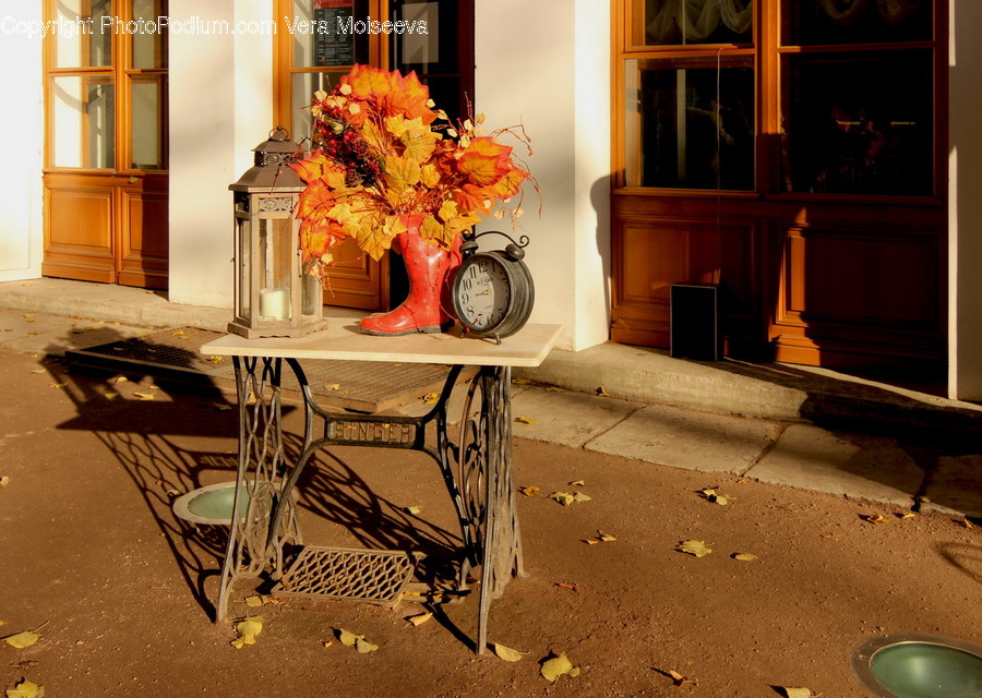 Plant, Furniture, Flower, Blossom, Flower Arrangement