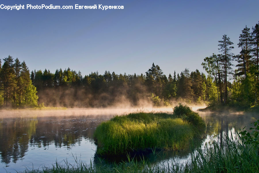 Outdoors, Pond, Water, Land, Marsh, Swamp, Field