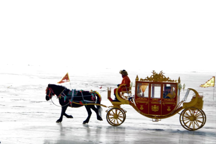 Wagon, Transportation, Vehicle, Horse Cart, Human
