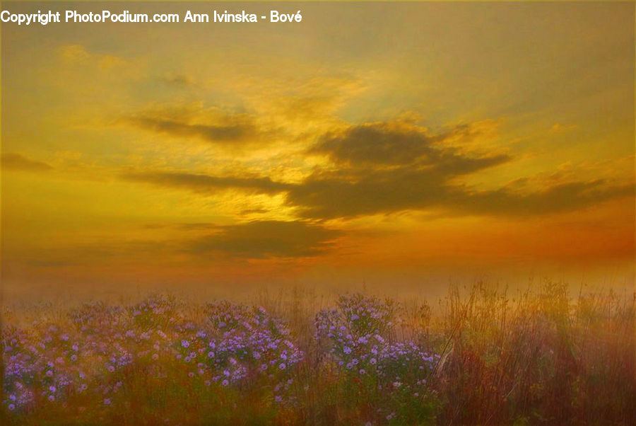 Dawn, Dusk, Sky, Sunrise, Sunset, Countryside, Field
