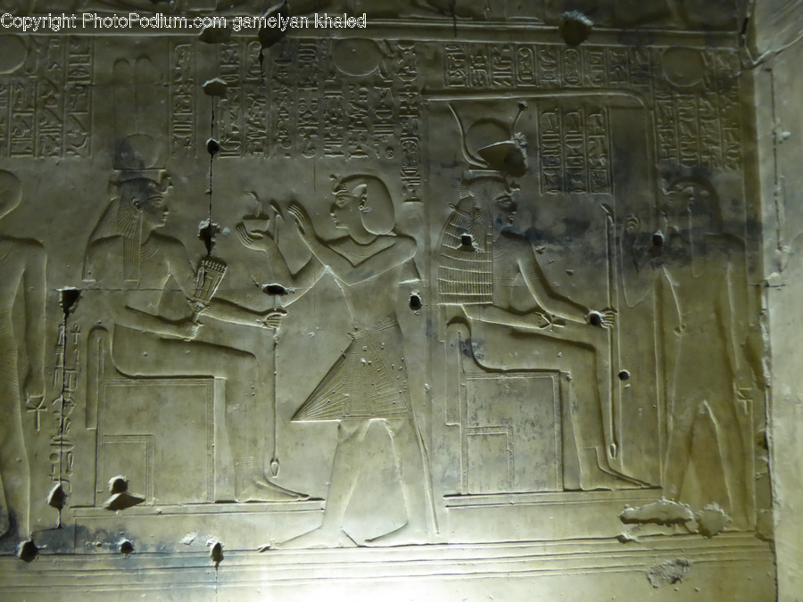 Animal, Bird, Archaeology