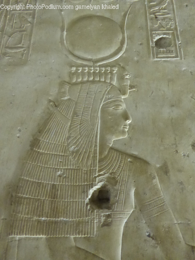 Soil, Archaeology, Person, Human, Money