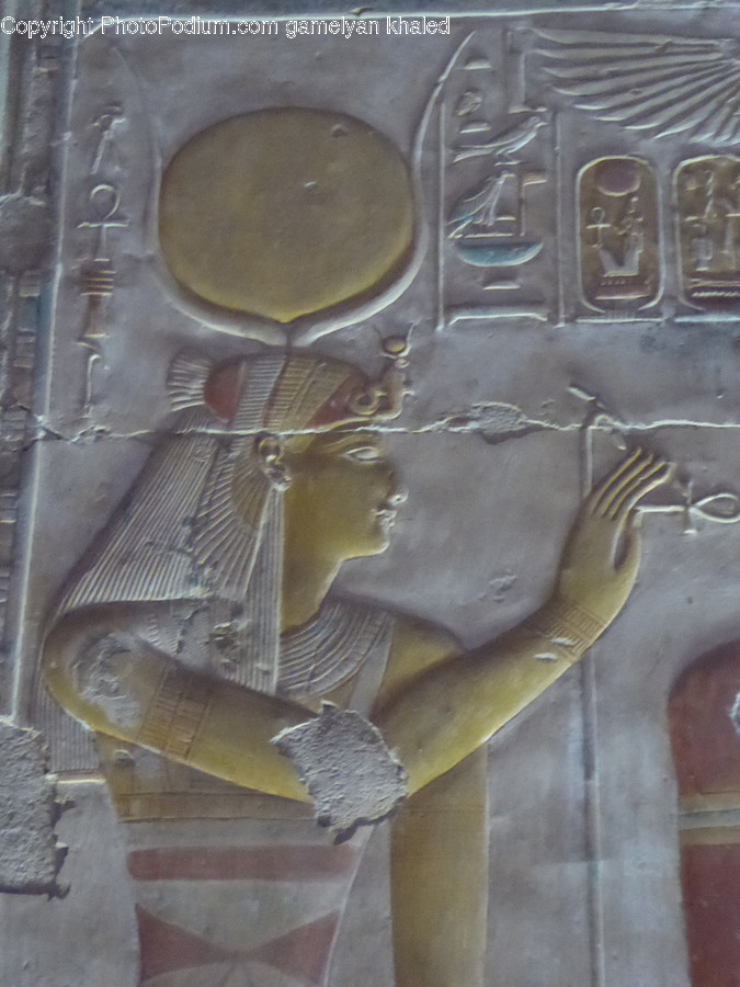 Animal, Bird, Egg, Food, Archaeology
