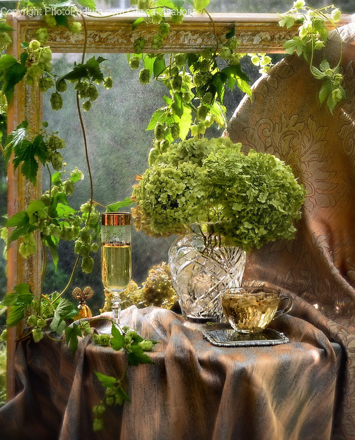 Jar, Potted Plant, Pottery, Vase, Plant