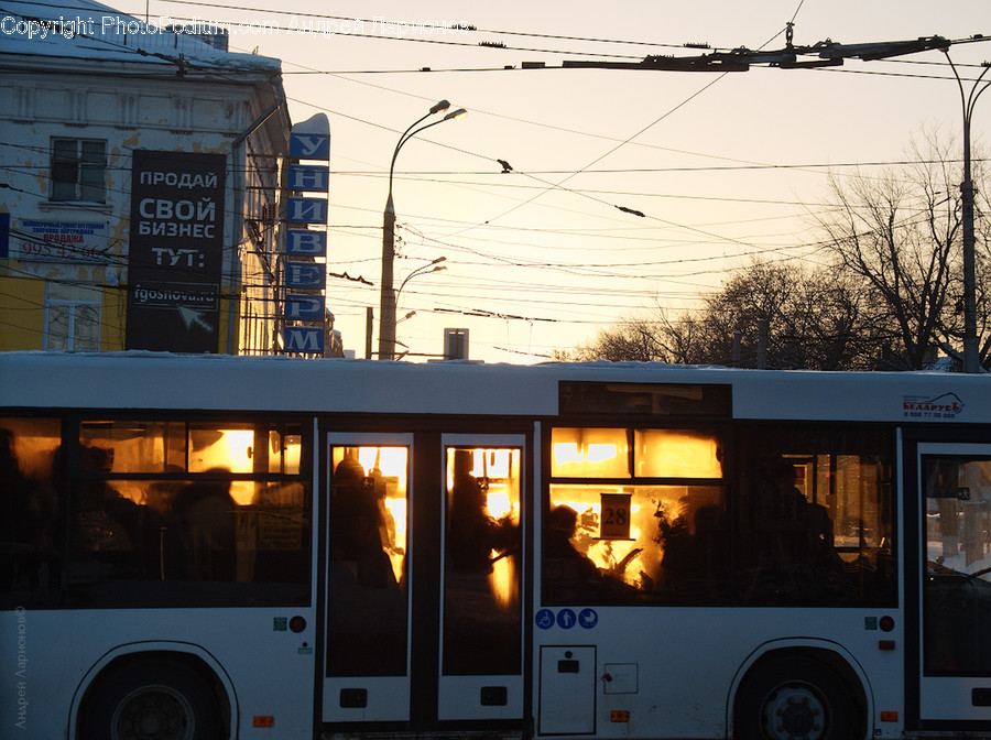 Transportation, Vehicle, Bus, Human, Person